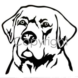 Lab Head Decal