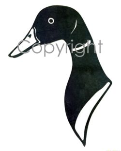 Mallard Head Decal