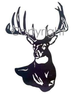 Megabuck Decal