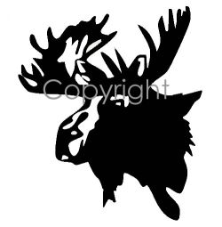 Moose Head Decal