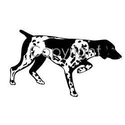 Pointer Decal