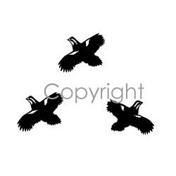 Quail Covey Decal