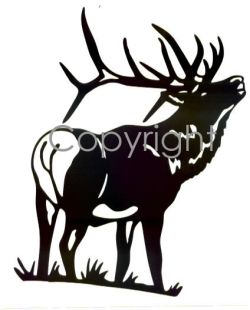 Royal bull Decal