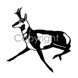 Running Antelope Decal