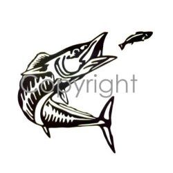 Wahoo Decal