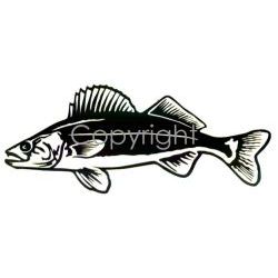 Walleye Decal