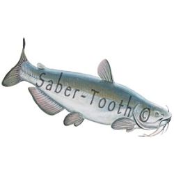 Blue Catfish Decal