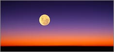 Full Moon Arising - Truck or SUV Rear Window Graphic