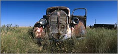 Forgotten Ride - Truck or SUV Rear Window Graphic