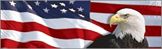 US Flag 1 with Eagle - Clearvue Rear Window Graphic