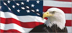 US Flag 1 with Eagle - Truck or SUV Rear Window Graphic