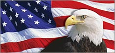 US Flag 2 with Eagle - Truck or SUV Rear Window Graphic