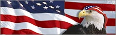 US Flag 1 with Eagle & Bandana - Clearvue Rear Window Graphic