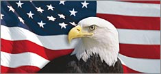 US Flag 1 with Eagle Centered - Truck or SUV Rear Window Graphic
