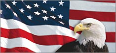 US Flag 1 with Eagle for Slider Windows - Truck or SUV Rear Window Graphic