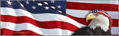 US Flag 1 with Eagle & Bandana for Slider Windows - Clearvue Rear Window Graphic