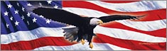 Eagle in Flight Flag - Clearvue Rear Window Graphic