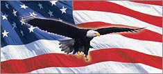 Eagle in Flight Flag - Truck or SUV Rear Window Graphic