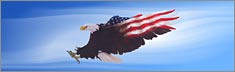 Wings of Freedom Blue - Clearvue Rear Window Graphic