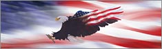 Wings of Freedom Flag - Clearvue Rear Window Graphic