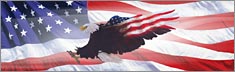 Wings of Freedom Flag 2 - Clearvue Rear Window Graphic