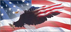 Wings of Freedom Flag 2 - Truck or SUV Rear Window Graphic