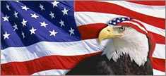 US Flag 2 with Eagle & Bandana - Truck or SUV Rear Window Graphic