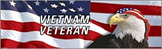 Vietnam Veteran - Clearvue Rear Window Graphic