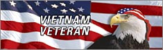 Vietnam Veteran - Clearvue Rear Window Graphic