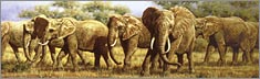 Ground Shakers Elephants - Clearvue Rear Window Graphic