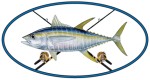 Oval Yellowfin Tuna Decal