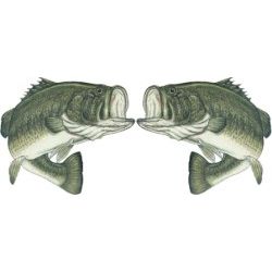 Action Largemouth Bass Decal Twin Pack