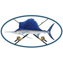 Oval Sailfish Decal