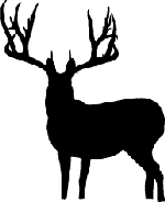 Big Buck Decal