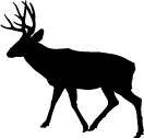 Mule Deer Decal