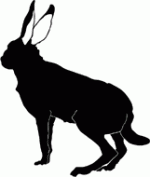 Jack Rabbit Decal