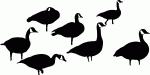 Standing Geese Decal