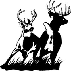 Deer fight Decal