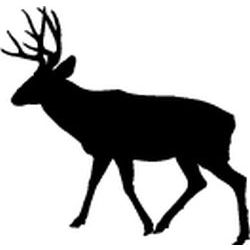 Mule Deer Decal