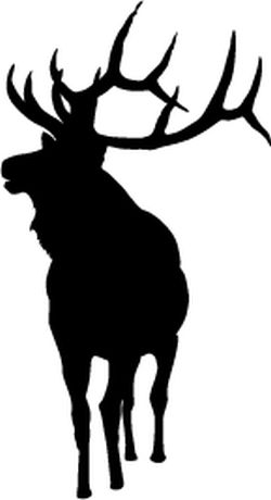 Bull Elk Decal