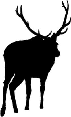 Elk Decal