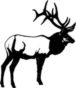 Elk Standing Decal