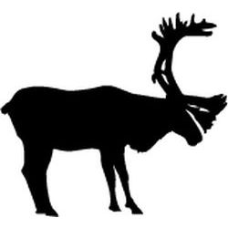 Carribou Decal