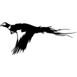 Pheasant in Flight Decal