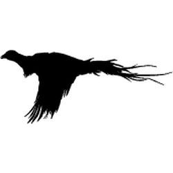 Flying Pheasant Decal