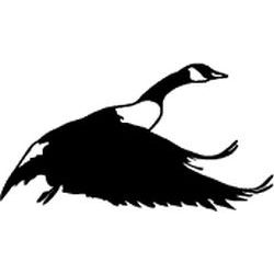 Landing Honker Decal