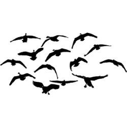 Mess of Geese Decal