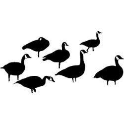 Standing Geese Decal