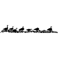 Geese in corn stub. Decal