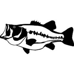 Large Mouth Bass Decal